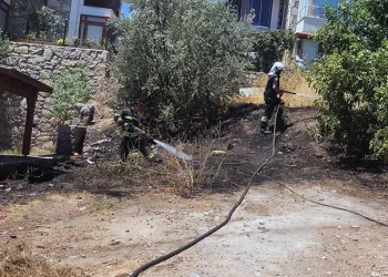 Mahalle ortasında korkutan yangın