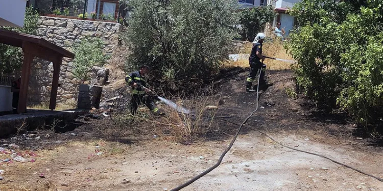 Mahalle ortasında korkutan yangın
