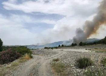 Muğla sınırında başlayan orman yangını Denizli’ye sıçradı