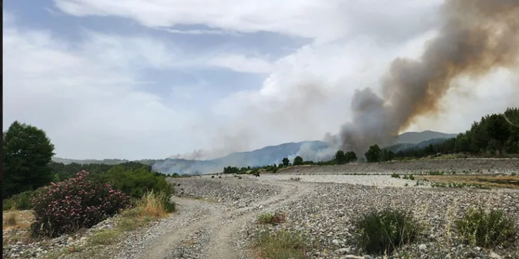 Muğla sınırında başlayan orman yangını Denizli’ye sıçradı
