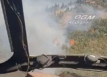 Buca’da orman yangını