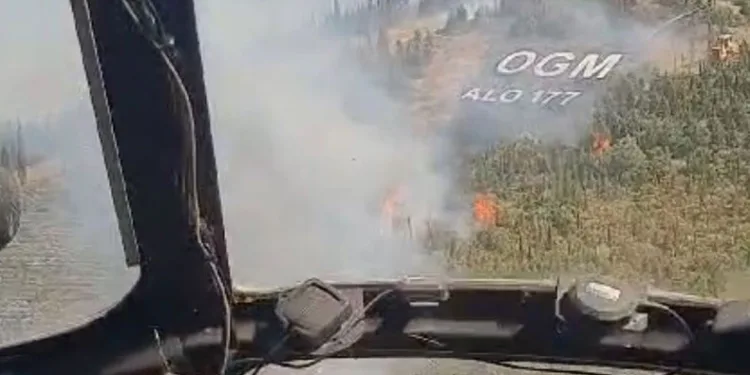 Buca’da orman yangını