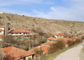 Su ihtiyacına yetişemeyen muhtardan güldüren isyan