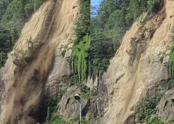 Rize’de toprak kayması meydana geldi