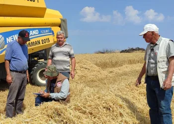 Hibe destekli arpa hasadı başladı