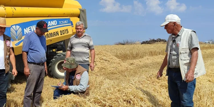 Hibe destekli arpa hasadı başladı