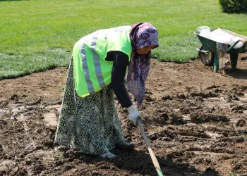 Solaklar Köprülü Kavşağı’na kadın eli değdi