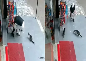 Pes dedirten hırsızlık: Önce sevdi, sonra çaldı