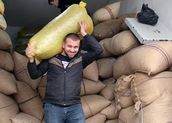 Fındığın en ağır yükünü onlar çekiyor