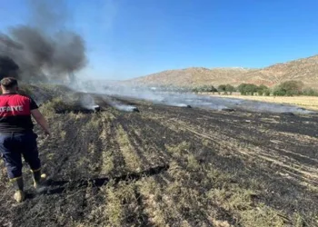 Çankırı’da arazi yangını
