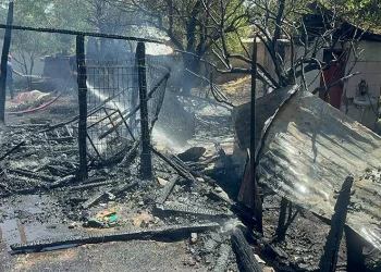 Elazığ’da ahır ve kümes yangını