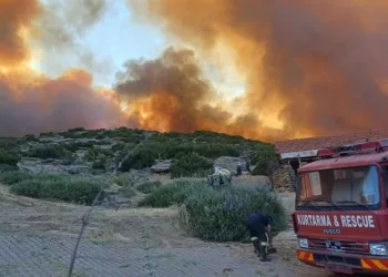 İzmir ve Manisa’da 165 yangına müdahale edildi