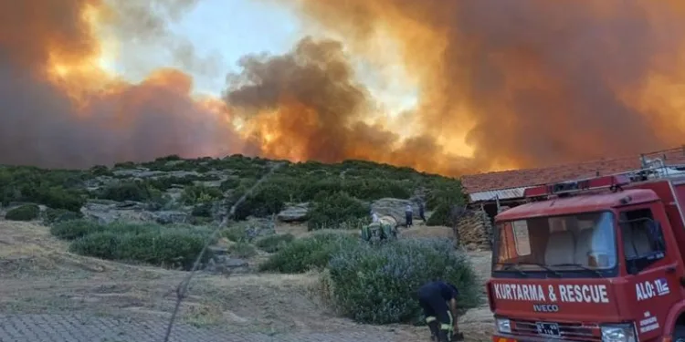 İzmir ve Manisa’da 165 yangına müdahale edildi
