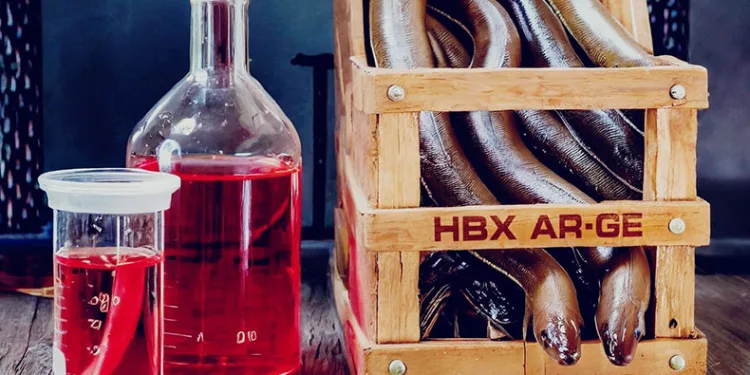 Laboratuvara alındı, vitamin ve mineral deposu çıktı