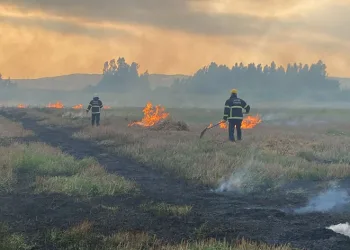 Erzin’de sazlık alanda çıkan yangın söndürüldü