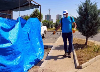 Kurban satış ve kesim yerleri ilaçlanıyor