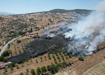 Manisa’da makilik alanda yangın
