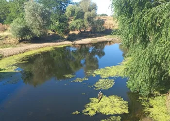 Tunca Nehri’ni kuraklık vurdu