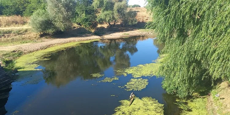 Tunca Nehri’ni kuraklık vurdu