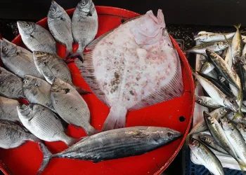 Kurban eti, balığa talebi azalttı