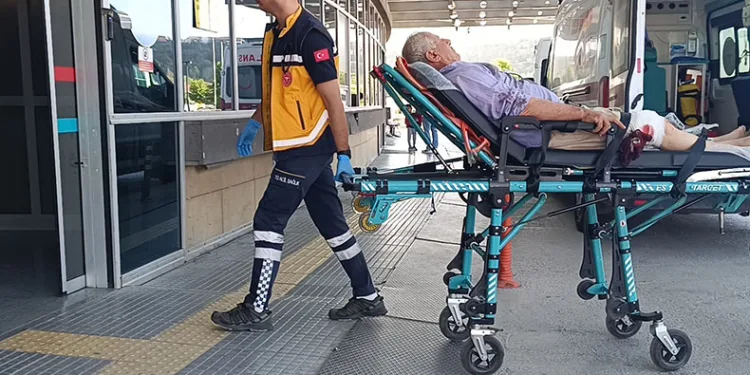Çorum’da acemi kasaplar hastanelik oldu