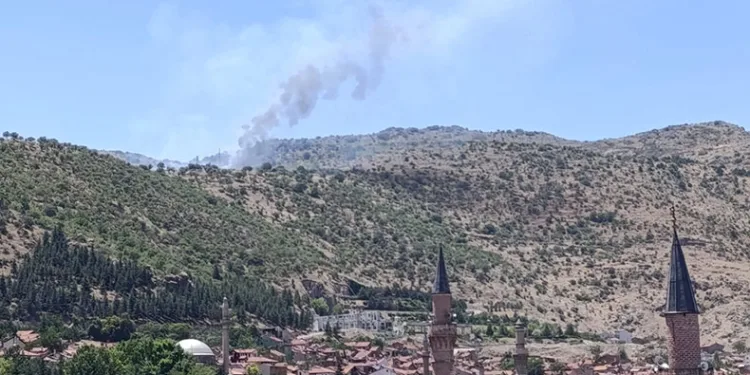 Afyonkarahisar’da ormanlık alanda yangın