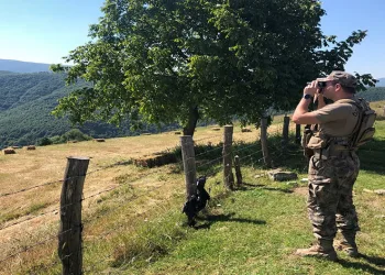 Ormanlar onlara emanet