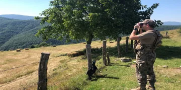 Ormanlar onlara emanet