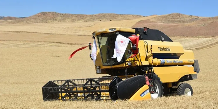 Çiftçilerin hasat mesaisi başladı