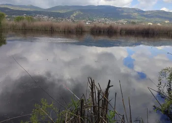 Verimli araziler balık havuzu oldu