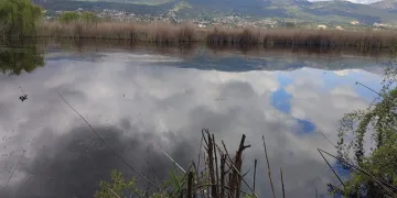 Verimli araziler balık havuzu oldu