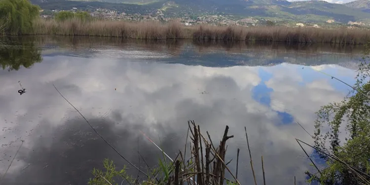 Verimli araziler balık havuzu oldu