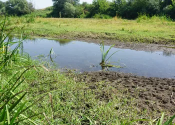 Tunca Nehri’nde kuraklık alarmı