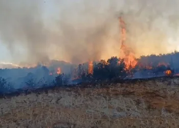 Gaziantep’te orman yangını