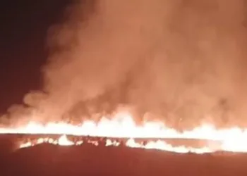 Tunceli’de korkutan yangın