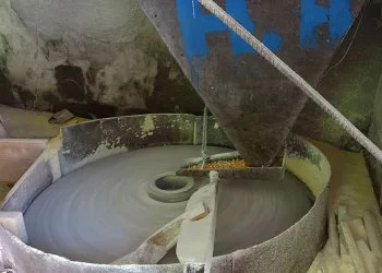 Asırlık değirmenler zamana yenik düşüyor