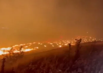 Kahramanmaraş’ta korkutan yangın