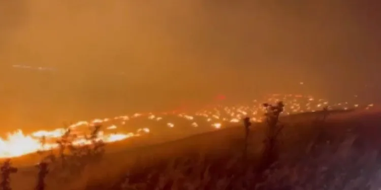 Kahramanmaraş’ta korkutan yangın
