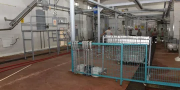 Yenişehir mezbahası yenilendi