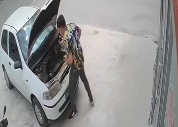 Otomobilin motoruna giren yılan teker sökülerek çıkarıldı
