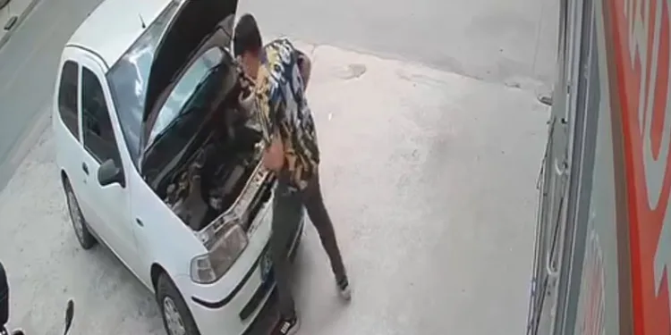 Otomobilin motoruna giren yılan teker sökülerek çıkarıldı