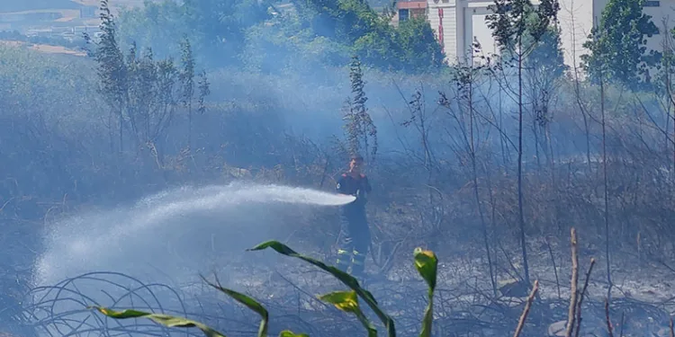 Samsun’da boş arazide yangın çıktı