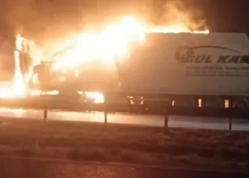 Avokado yüklü tır alev topuna döndü