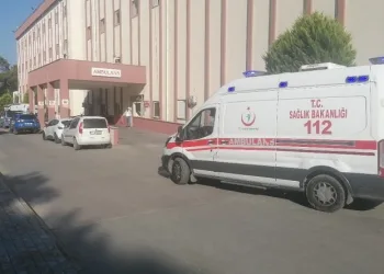 Tilki yerine kendini vurdu