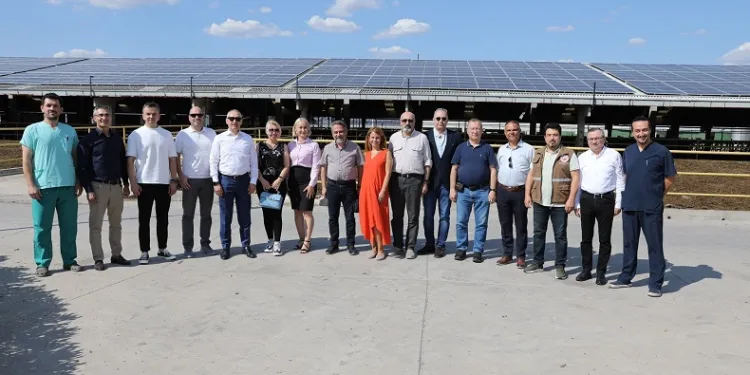 Türkiye’de yılda 21 milyon ton süt üretiliyor