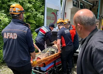 Kestiği ağacın altında kalan vatandaş yaralandı
