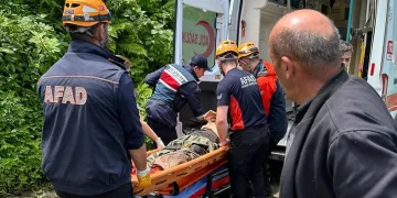 Kestiği ağacın altında kalan vatandaş yaralandı