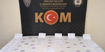 Giresun’da sahte ehliyet operasyonu