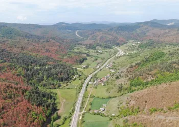 Kastamonu’da kahverengiye bürünen ormanlarla ilgili açıklama