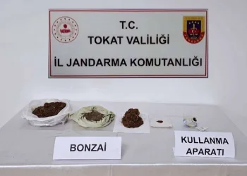 Tokat’ta uyuşturucu operasyonları